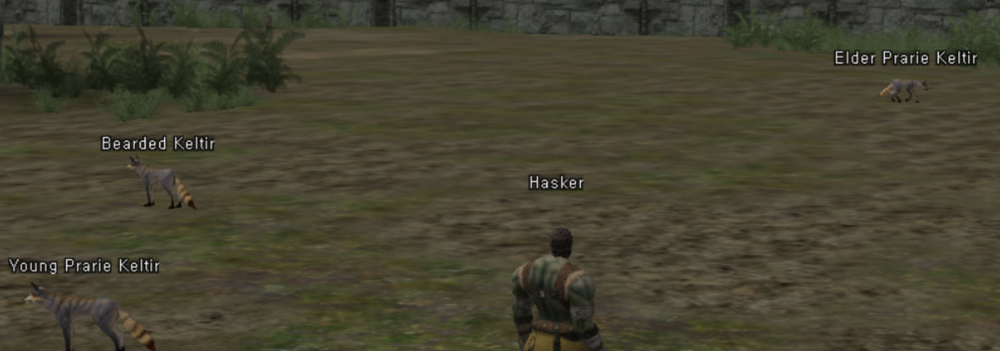 image.thumb.png.d747fbb3c2a2f0ca2edbd5144e0ac6a0.png